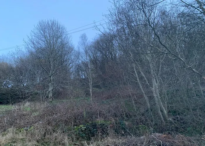 Apartman Chestnut - A Woodland Escape Near The City! Bradford