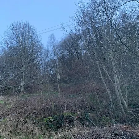 شقة Chestnut - A Woodland Escape Near The City! برادفورد